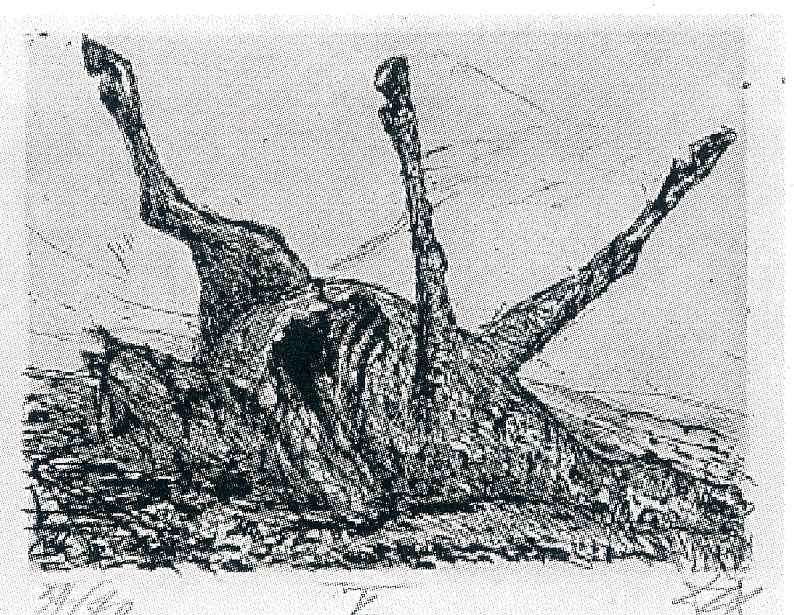 Otto Dix 120 — Otto Dix