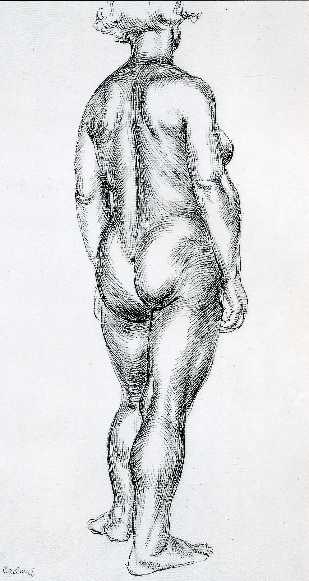 Art 358 Paper — Paul Cadmus Works On Paper