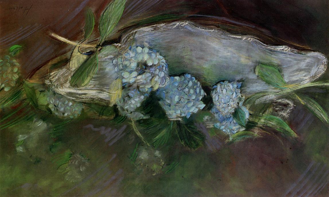 Hydrangeas Helleu — Paul Helleu
