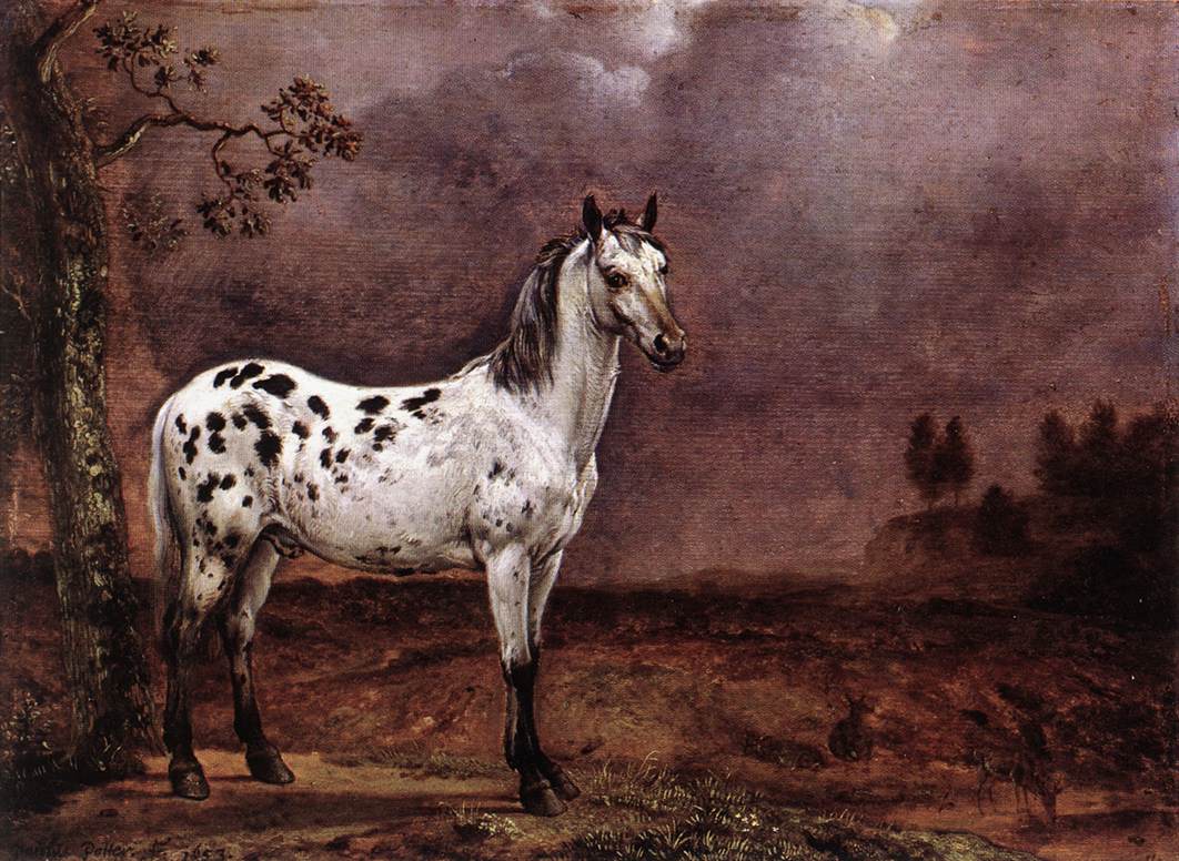 Spotted Caballo Potter — Paulus Potter