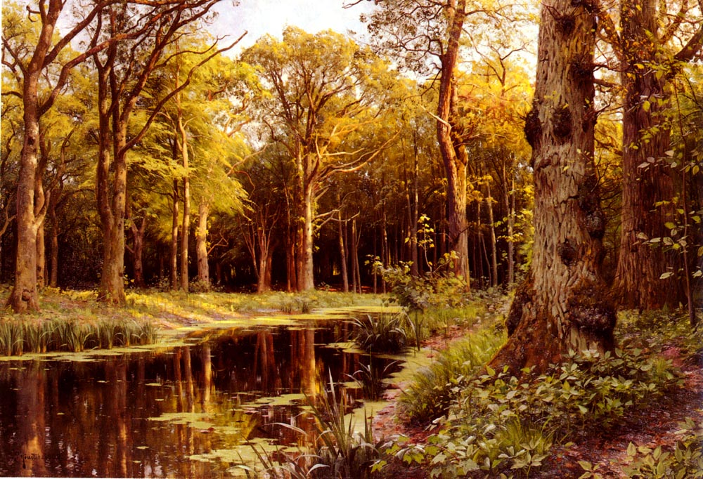 Bosque Stream Monsted — Peder Mork Monsted