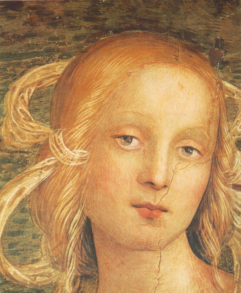 Perugino