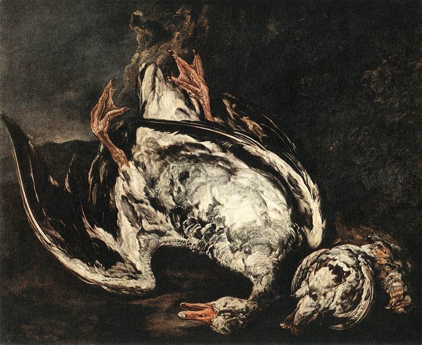 Pieter Boel