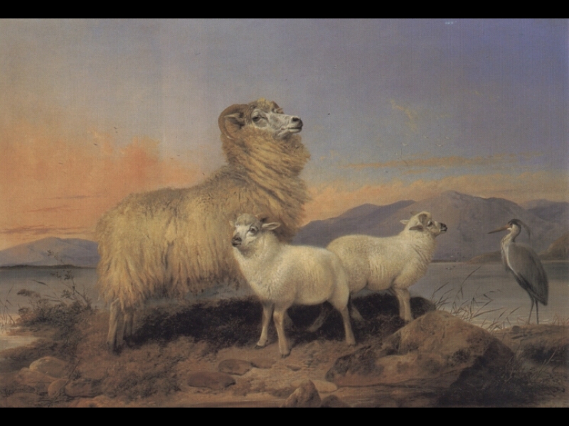 Ewe Con Lambs Y Heron Beside Loch Ansdell — Richard Ansdell