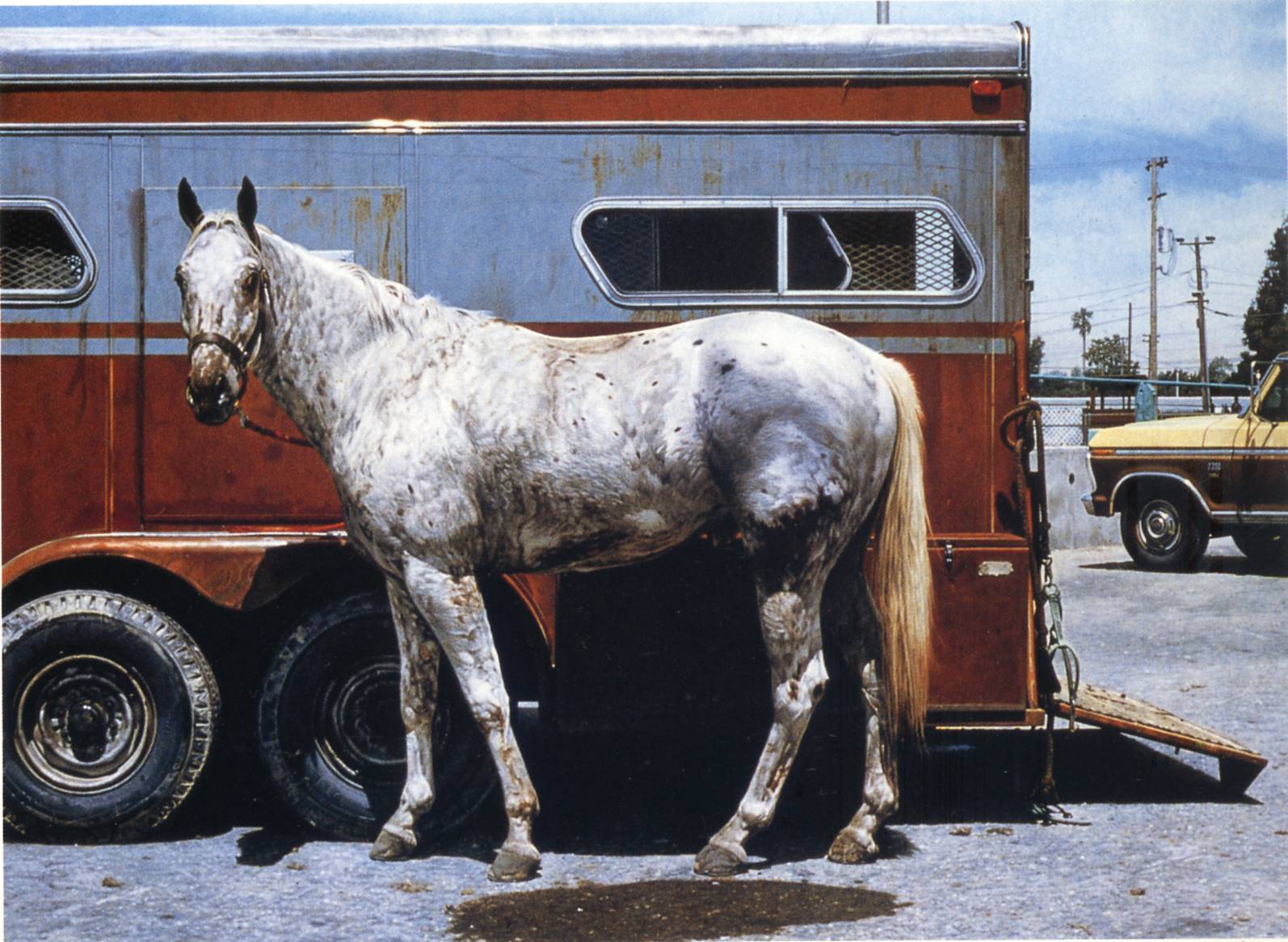 Richard Mclean Art 204 4 — Richard Mclean