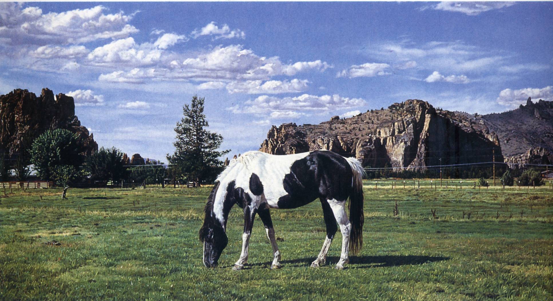 Richard Mclean Art 204 6 — Richard Mclean