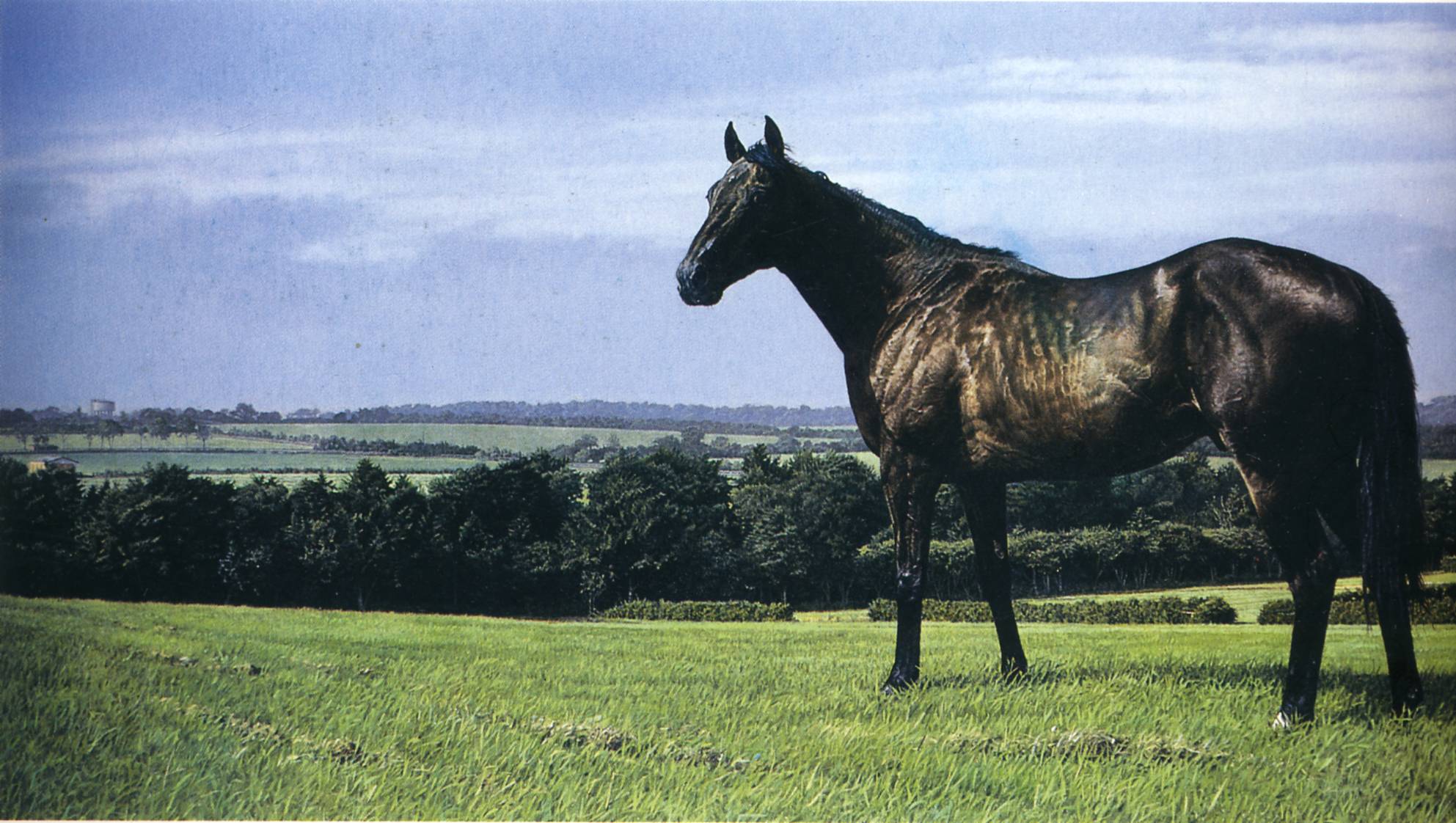 Richard Mclean Art 204 — Richard Mclean
