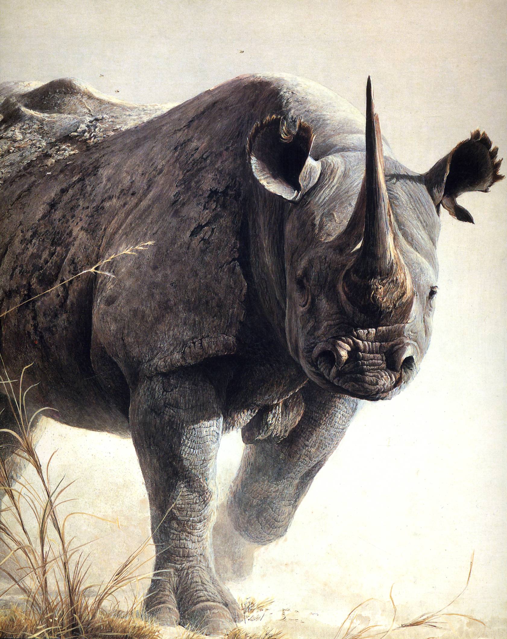 Robert Bateman