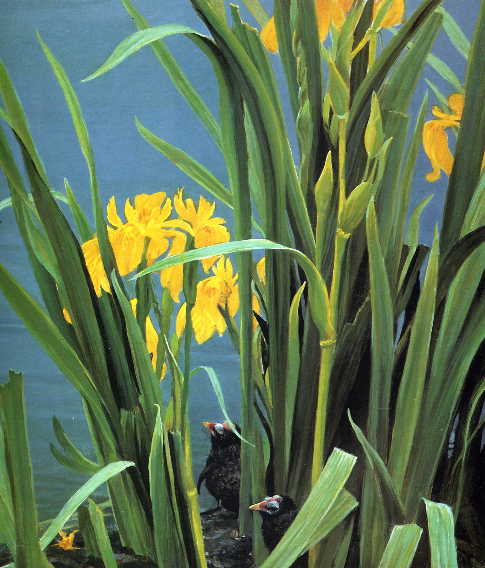 Art 640 Bateman — Robert Bateman