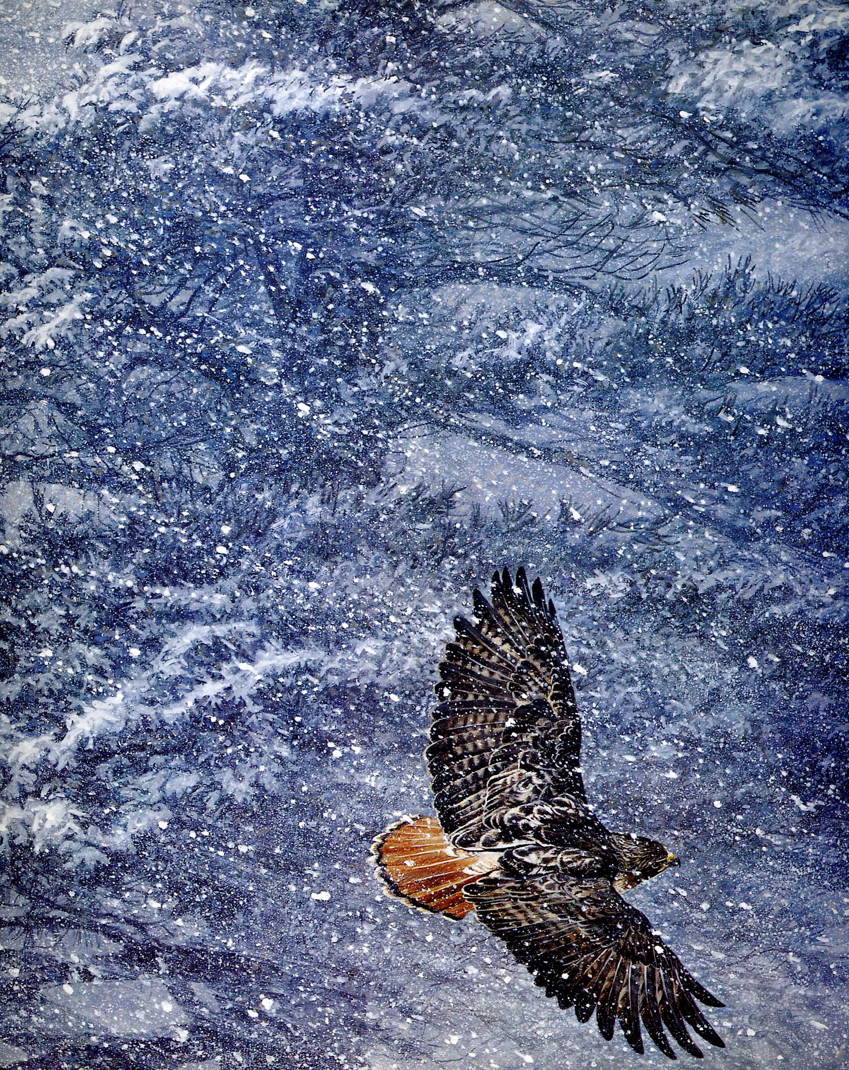Art 642 Bateman — Robert Bateman