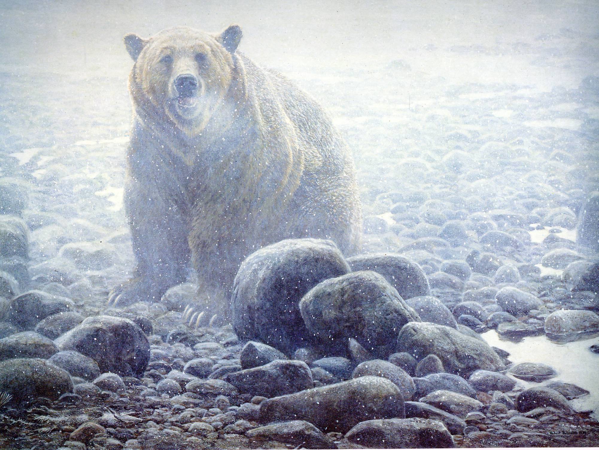Art 644 Bateman — Robert Bateman