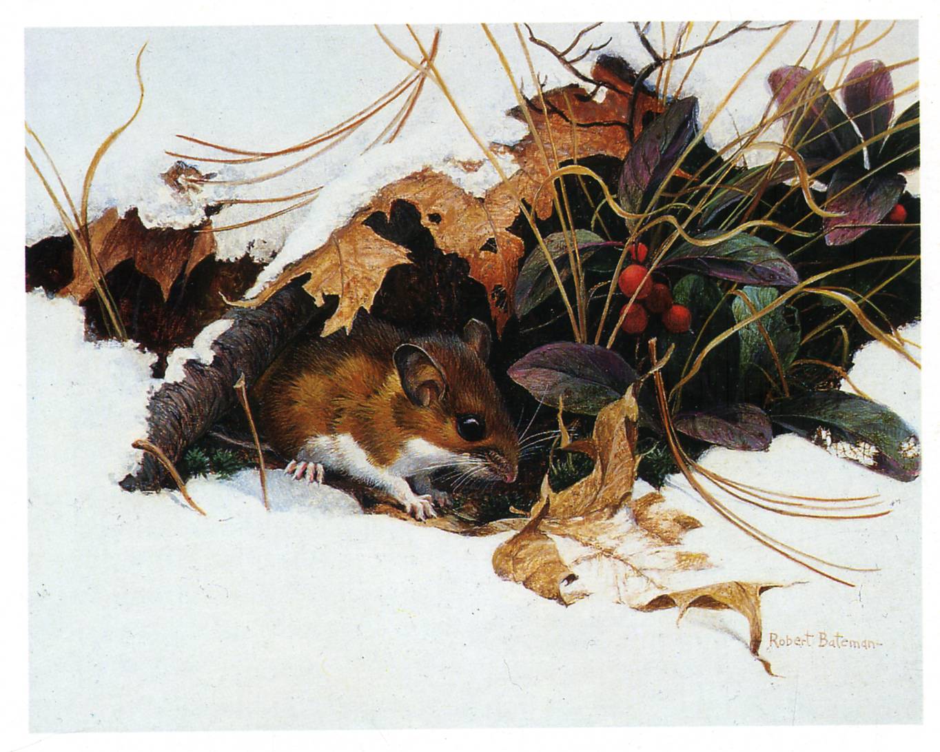 Art 645 Bateman — Robert Bateman