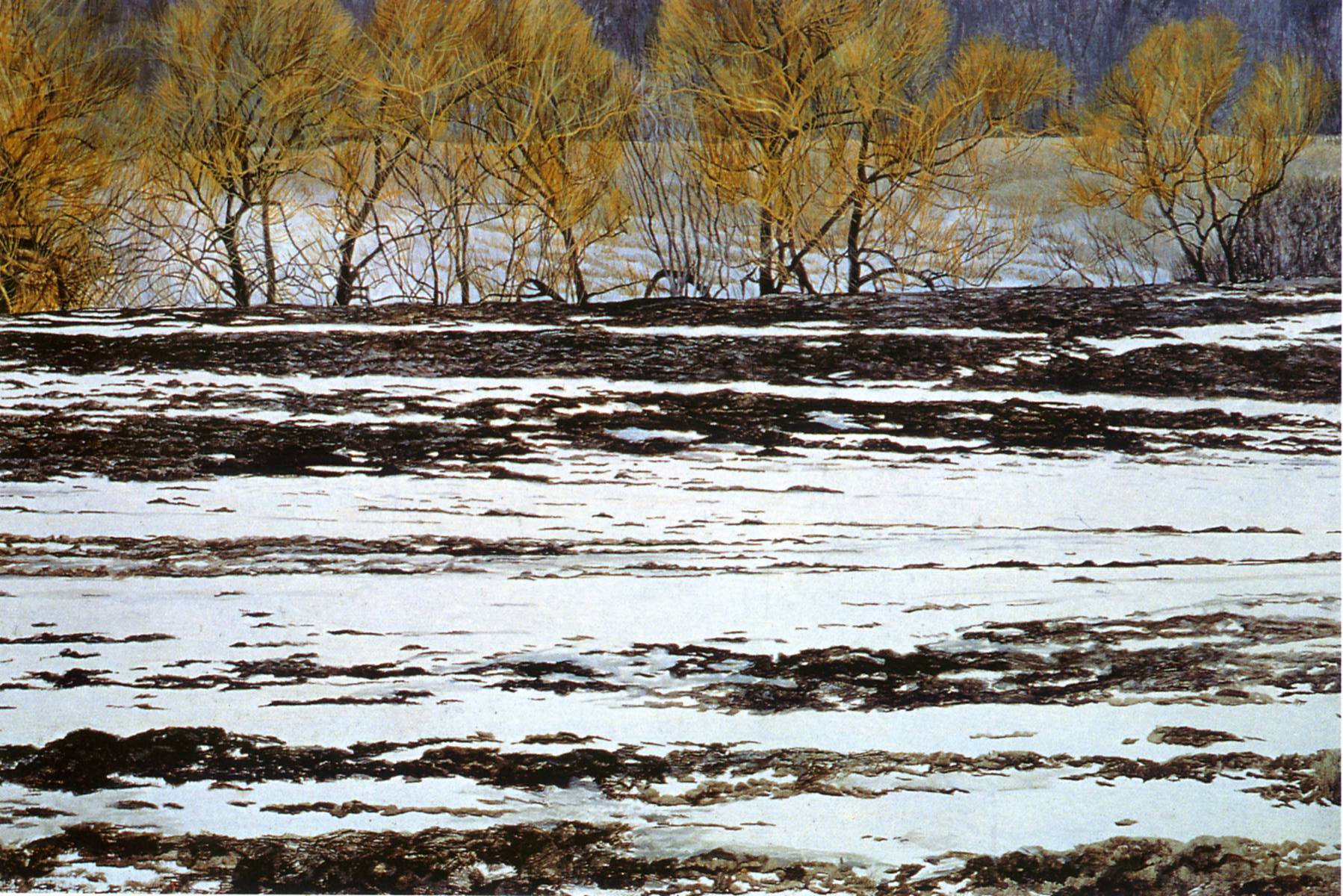 Art 646 Bateman — Robert Bateman