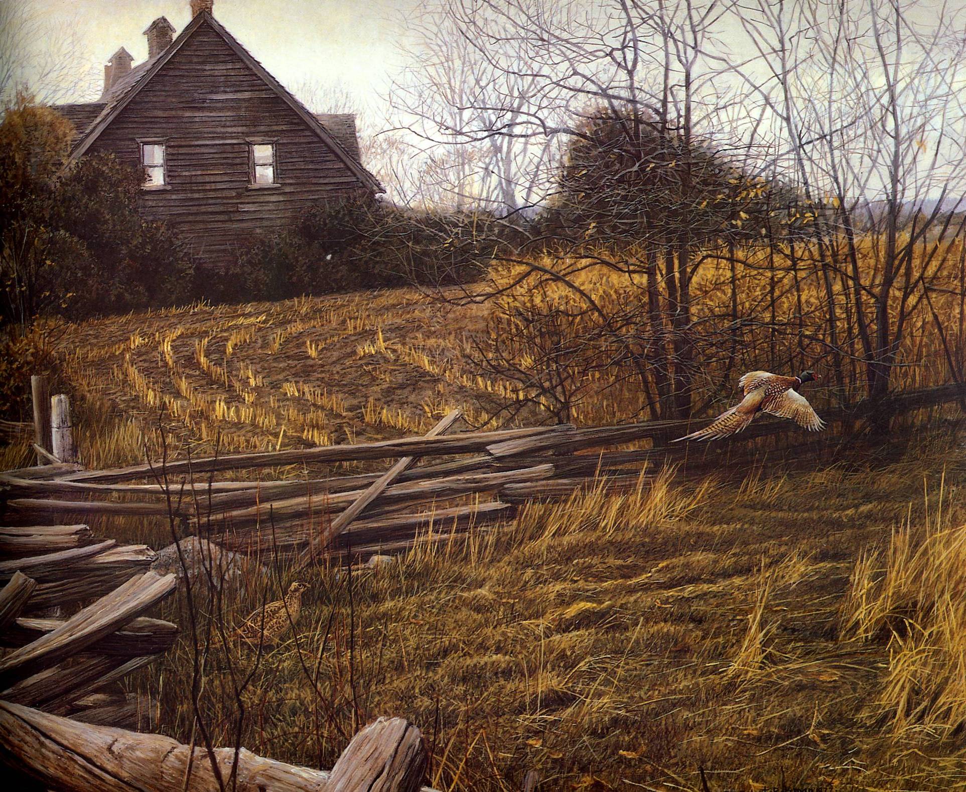 Art 650 Bateman — Robert Bateman