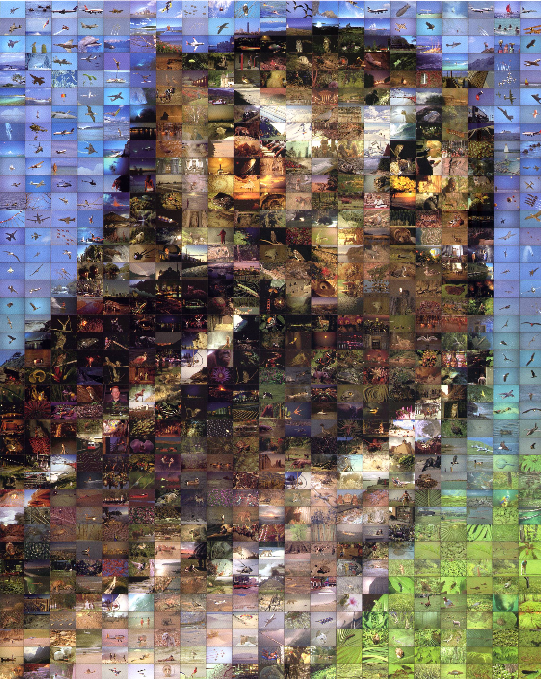 Art 544 Photomosrics — Robert Silvers Photomosrics
