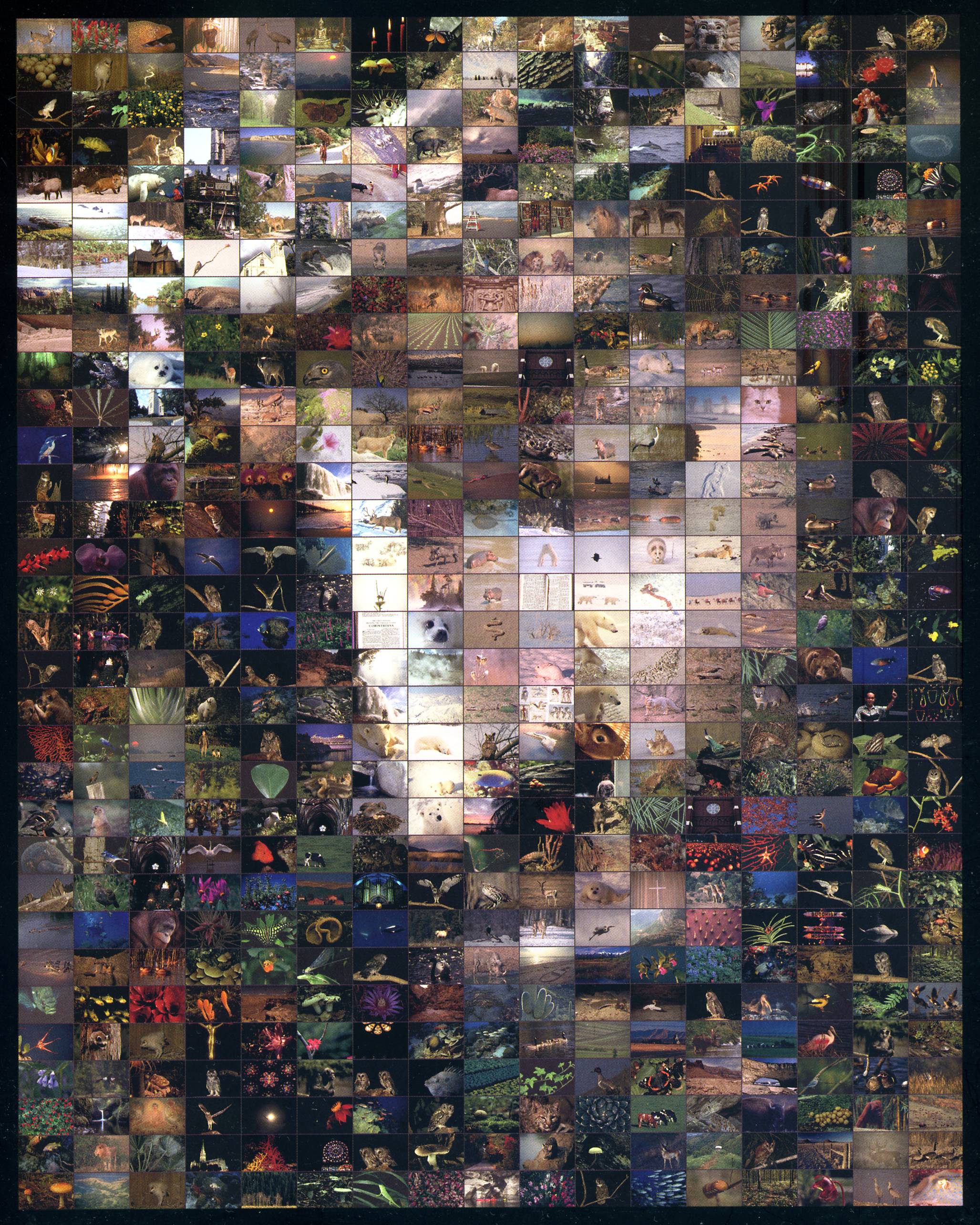 Art 549 Photomosrics — Robert Silvers Photomosrics