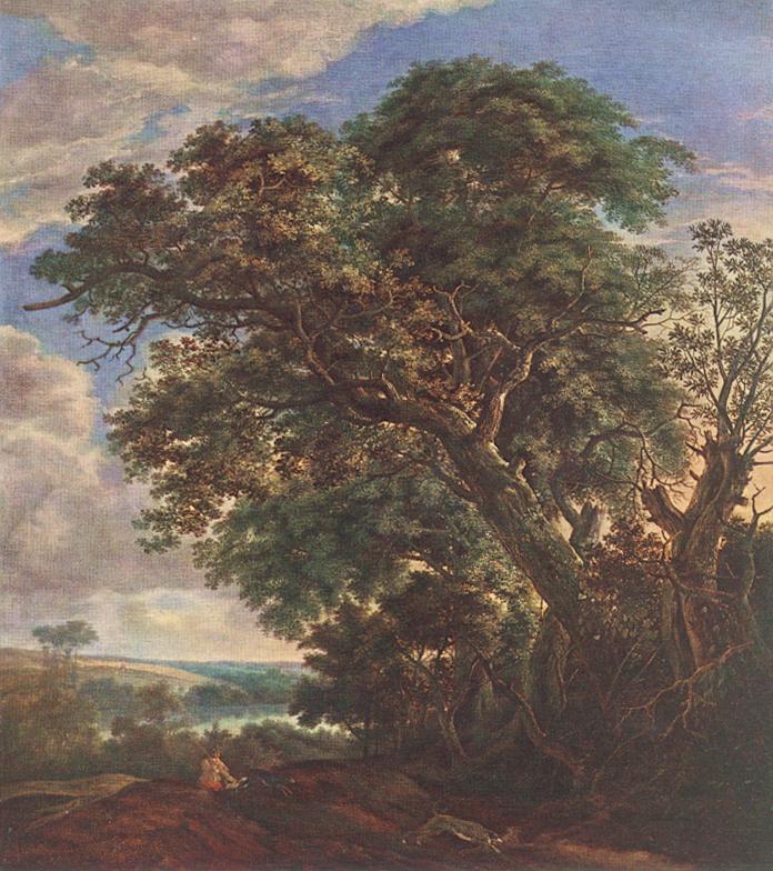 Paisaje Con Rio Y Arboles Vlieger — Simon De Vlieger