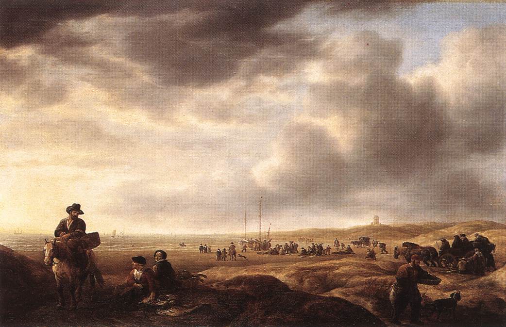 Playa Cerca De Scheveningen Con Pez Sellers Vlieger — Simon De Vlieger