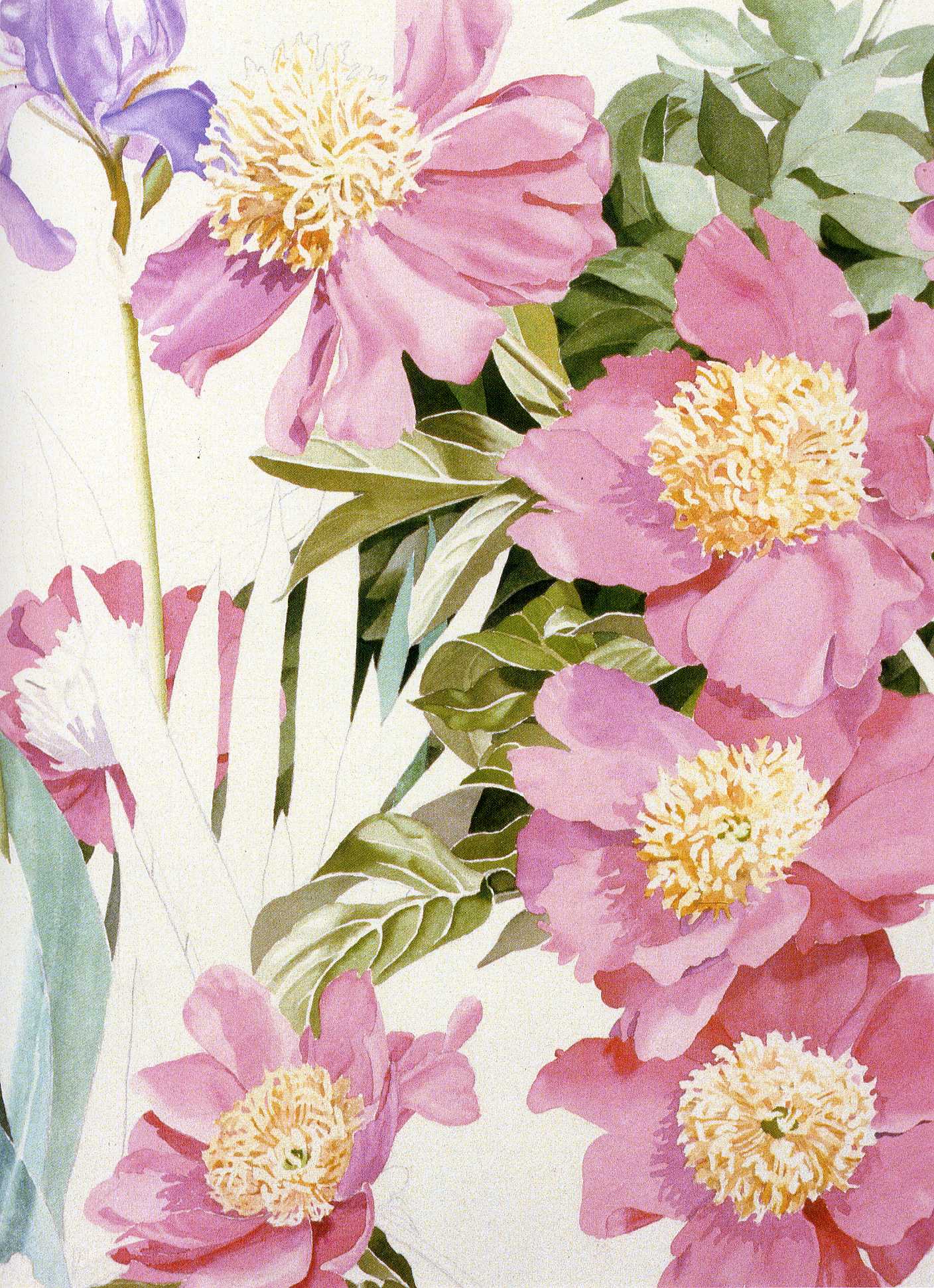 Art 132 Watercolor — Sondra Freckelton Watercolor