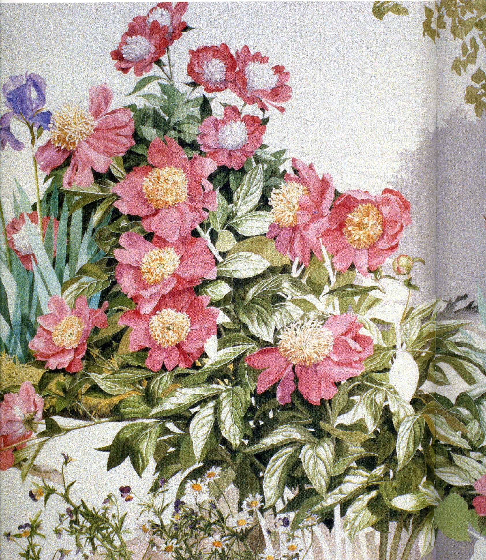 Art 133 Watercolor — Sondra Freckelton Watercolor
