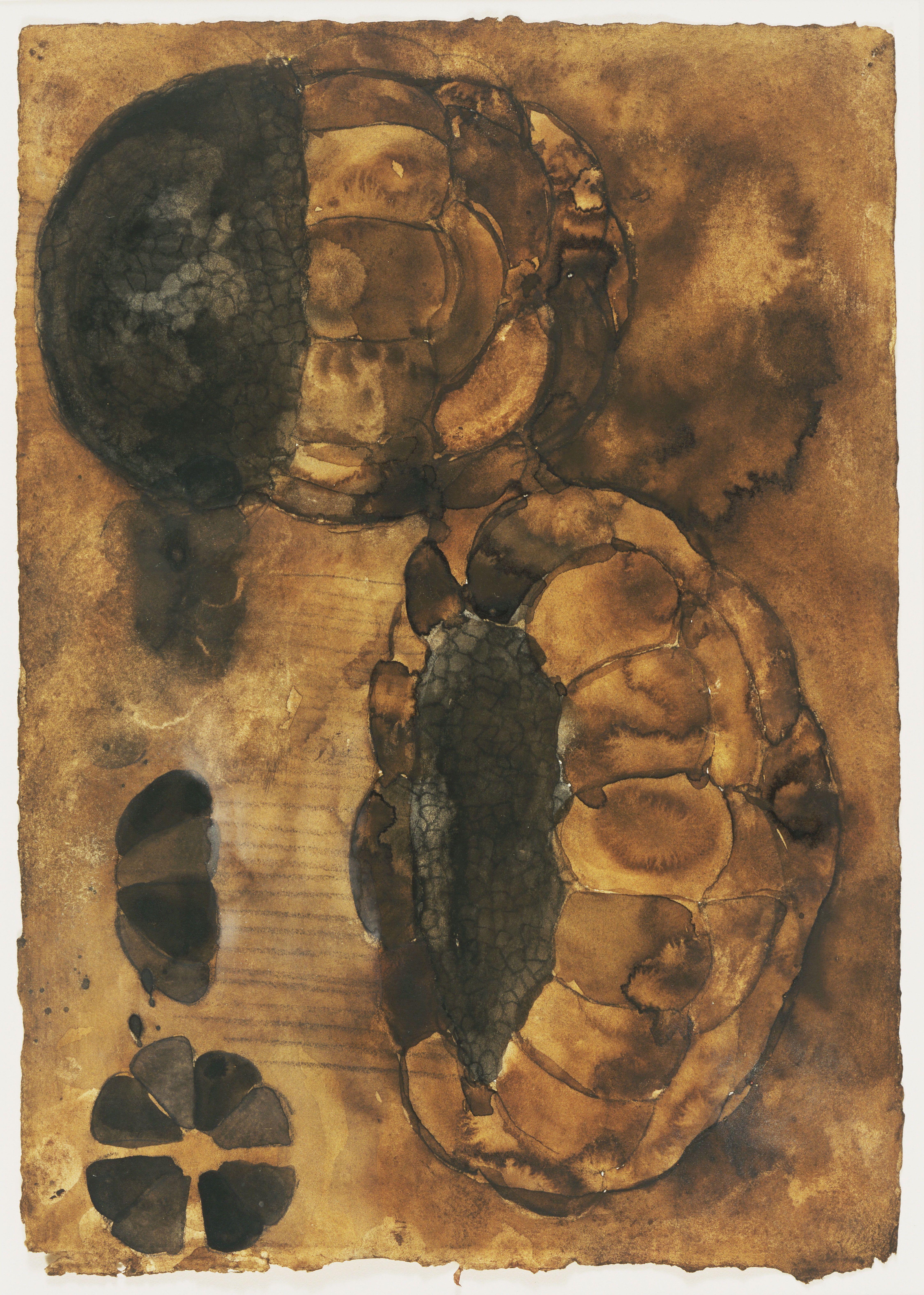 Schema 2 Winters — Terry Winters