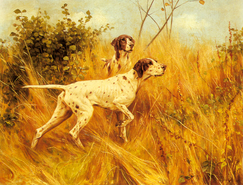 Two Pointers En Paisaje Blinks — Thomas Blinks