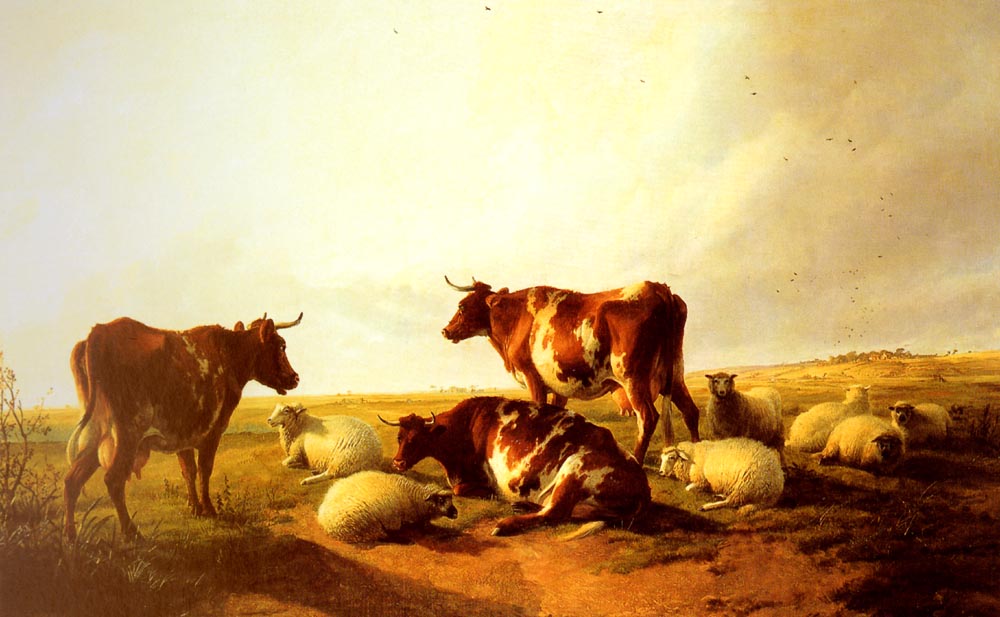 Cattle Y Sheep En Paisaje Cooper — Thomas Sidney Cooper