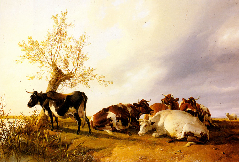 Dairy Cows Descansando Cooper — Thomas Sidney Cooper
