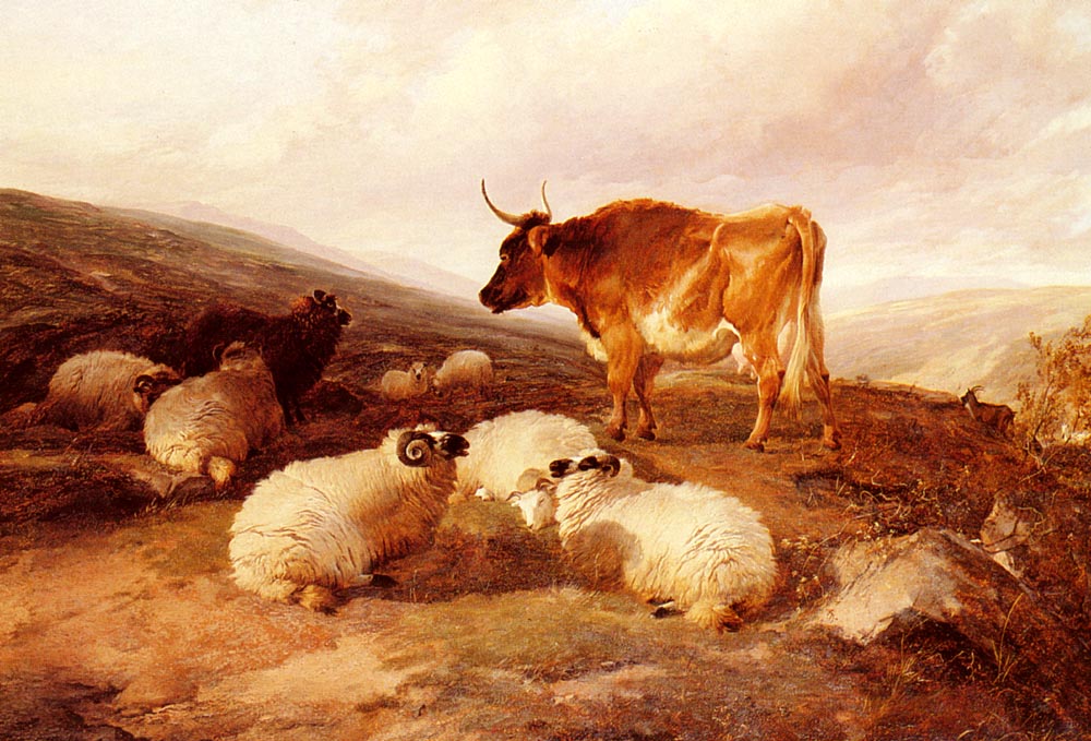 Rams Y Toro En Highland Paisaje Cooper — Thomas Sidney Cooper