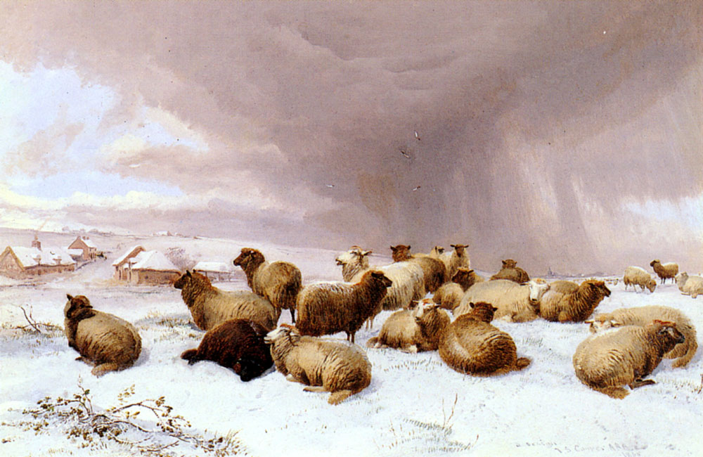 Sheep En Invierno Cooper — Thomas Sidney Cooper