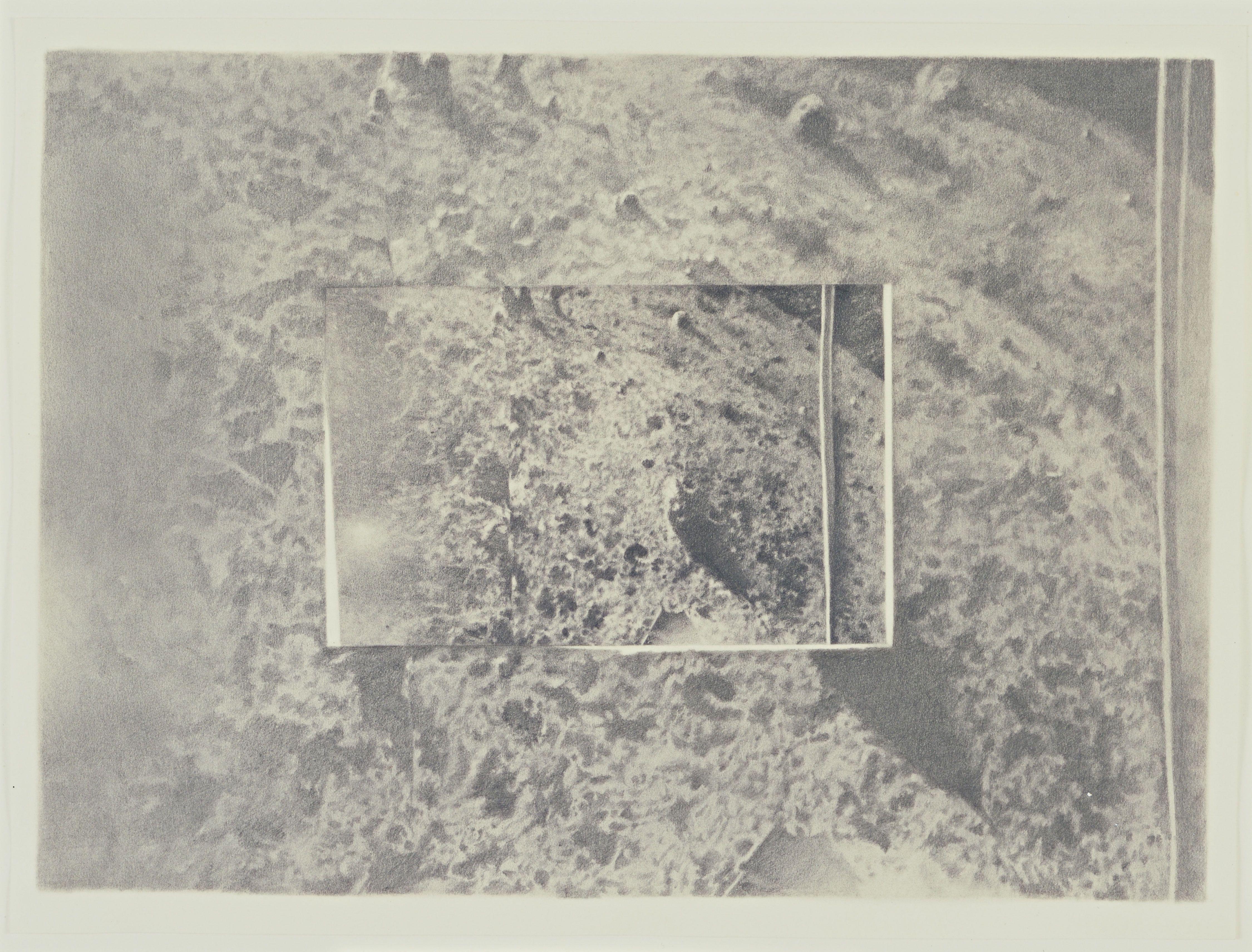 Vija Celmins