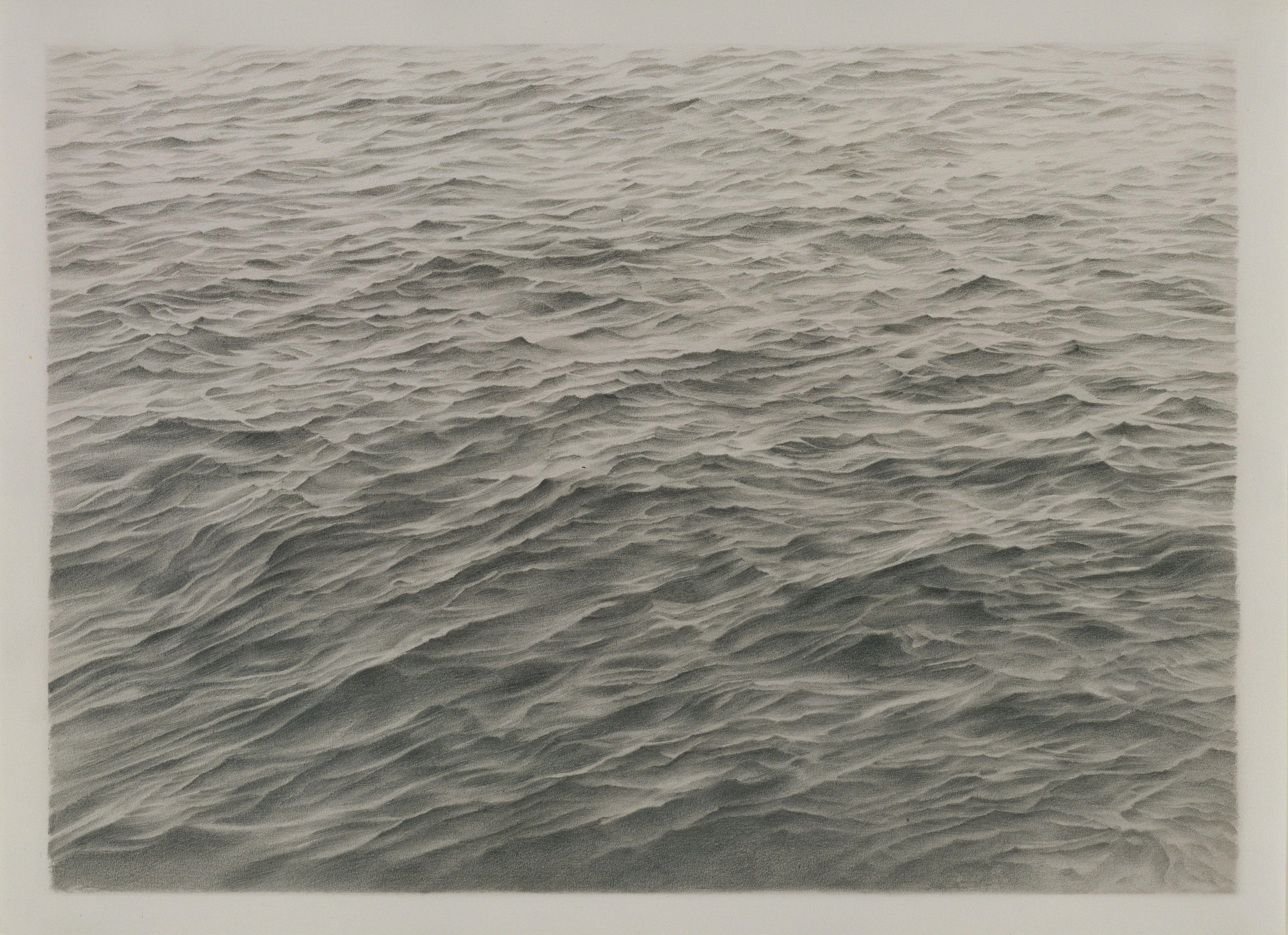 Untitled Celmins — Vija Celmins
