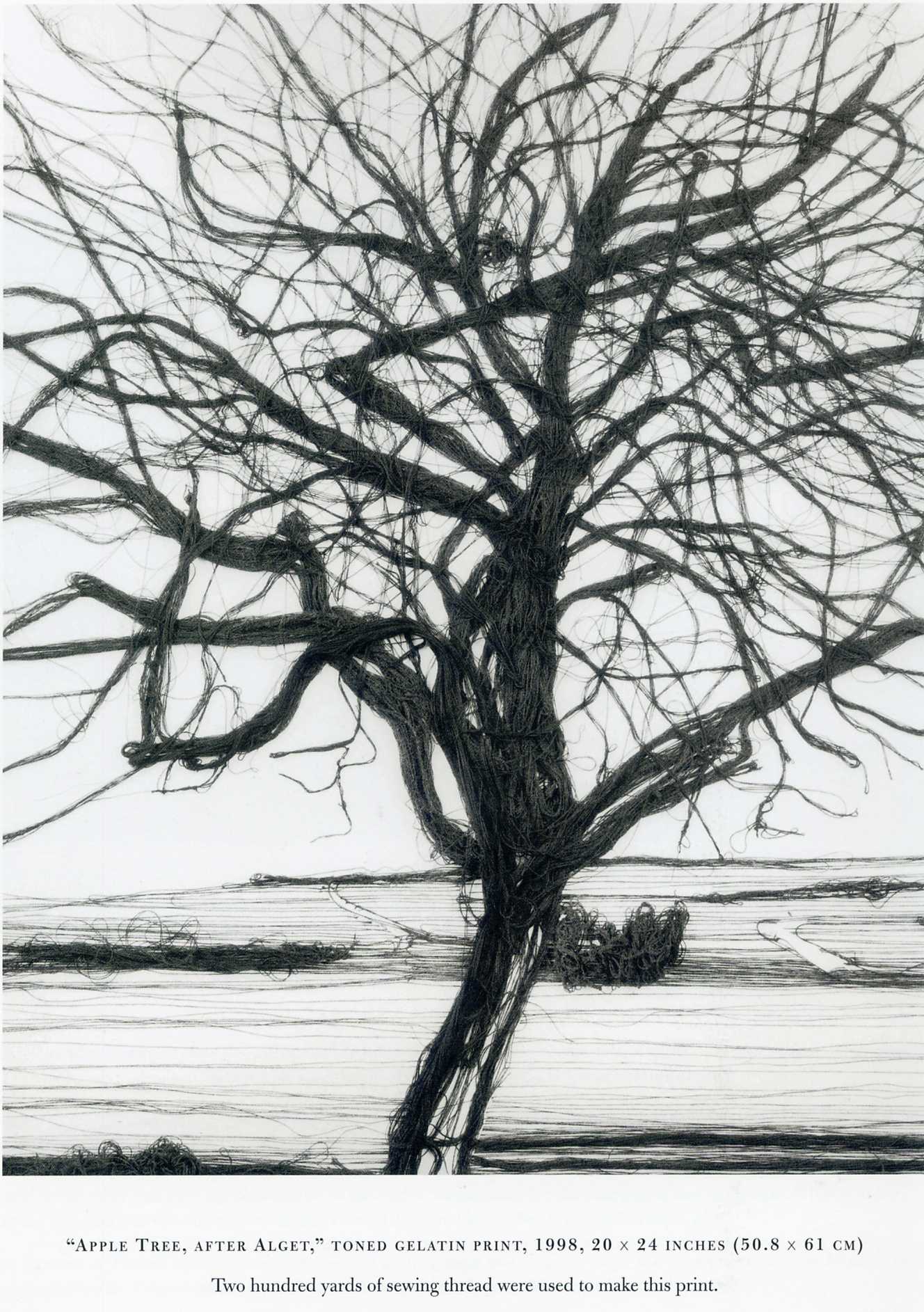 Vik Muniz
