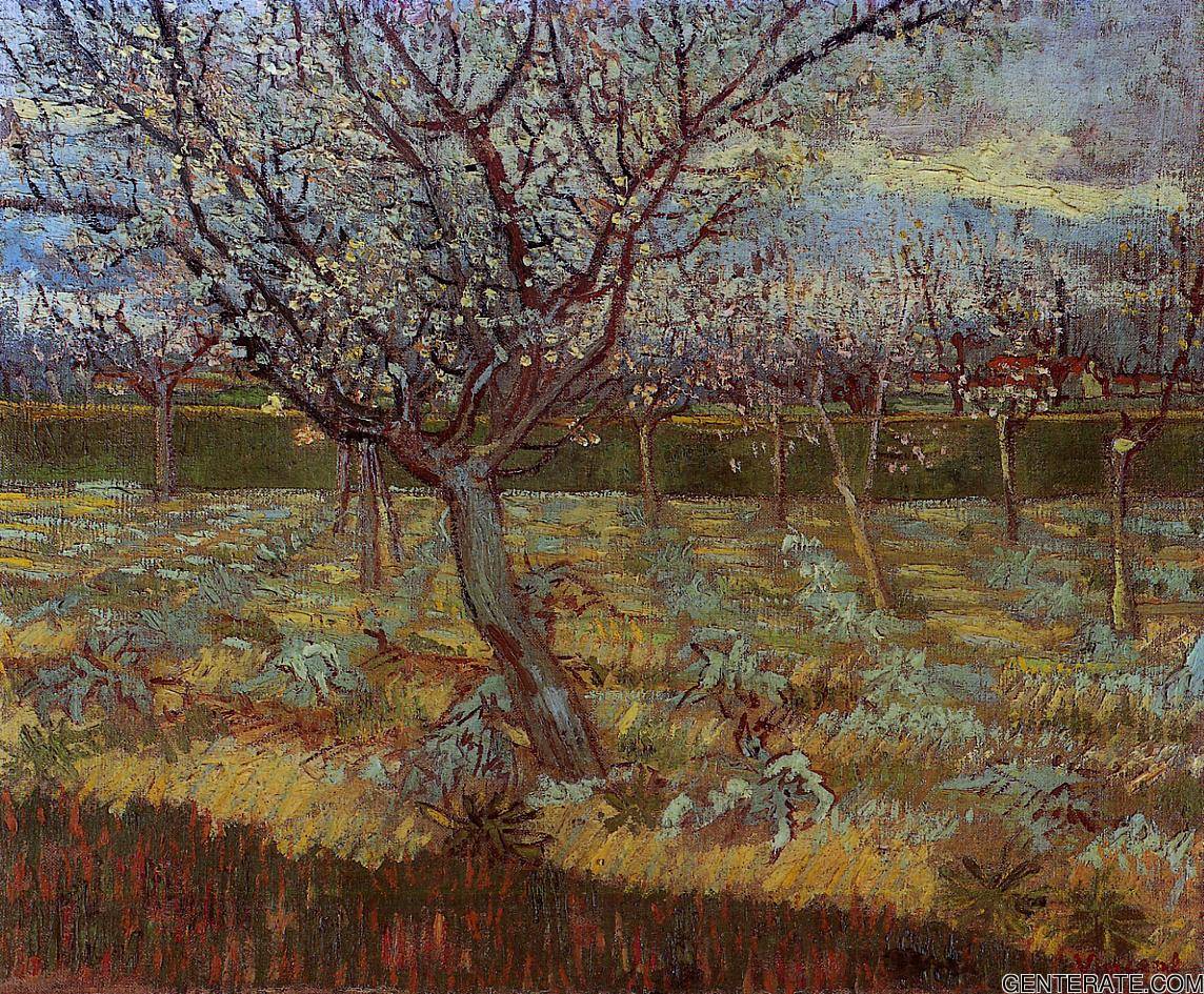 Apricot Arboles En Bloom Van Gogh — Vincent Van Gogh — Posimpresionismo