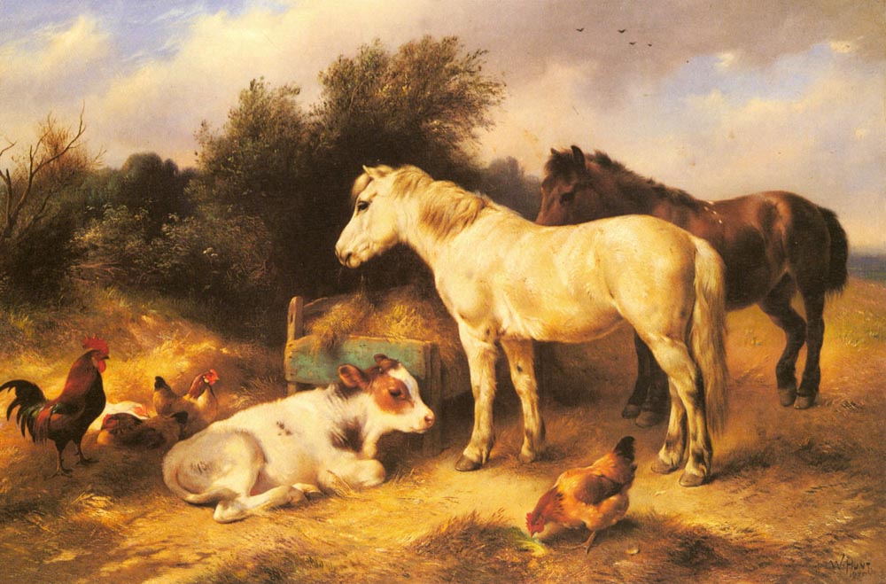 Ponies Calf Y Poultry En Farmyard Hunt — Walter Hunt