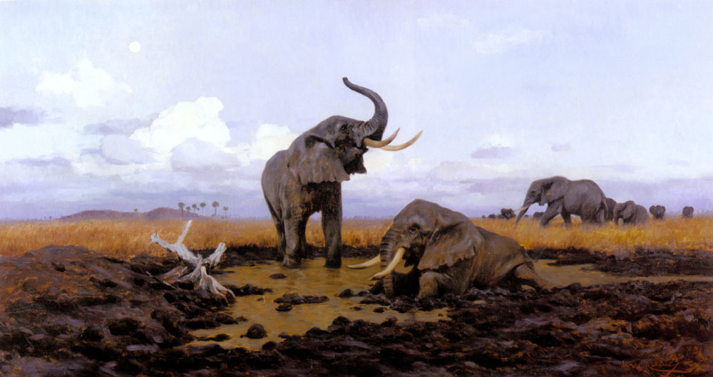 En Twilight Elephants Kuhnert — Wilhelm Kuhnert