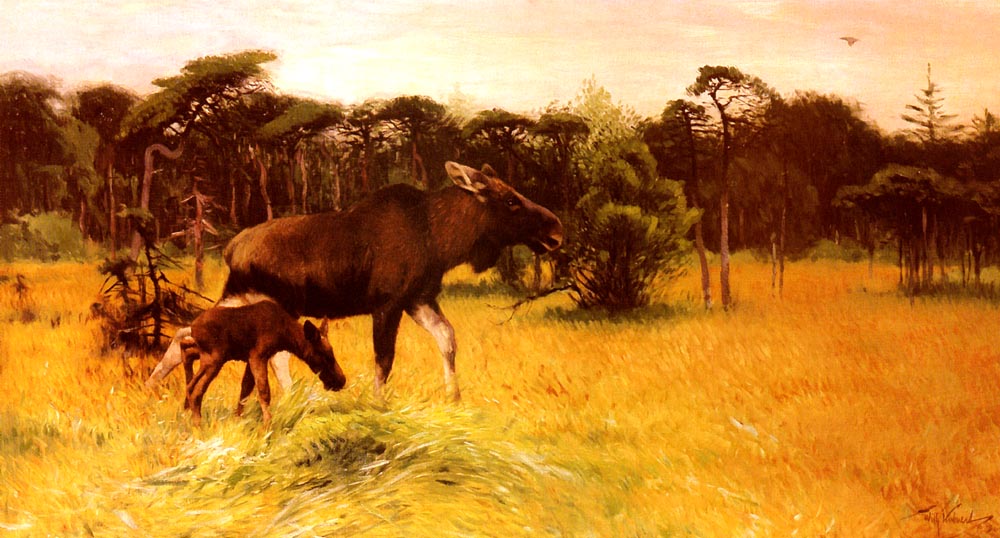 Moose Con Her Calf En Paisaje Kuhnert — Wilhelm Kuhnert