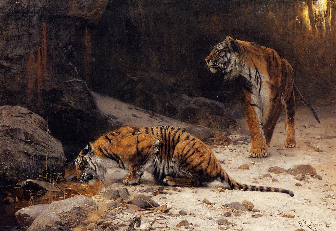 Tigers En Bebiendo Estanque Kuhnert — Wilhelm Kuhnert