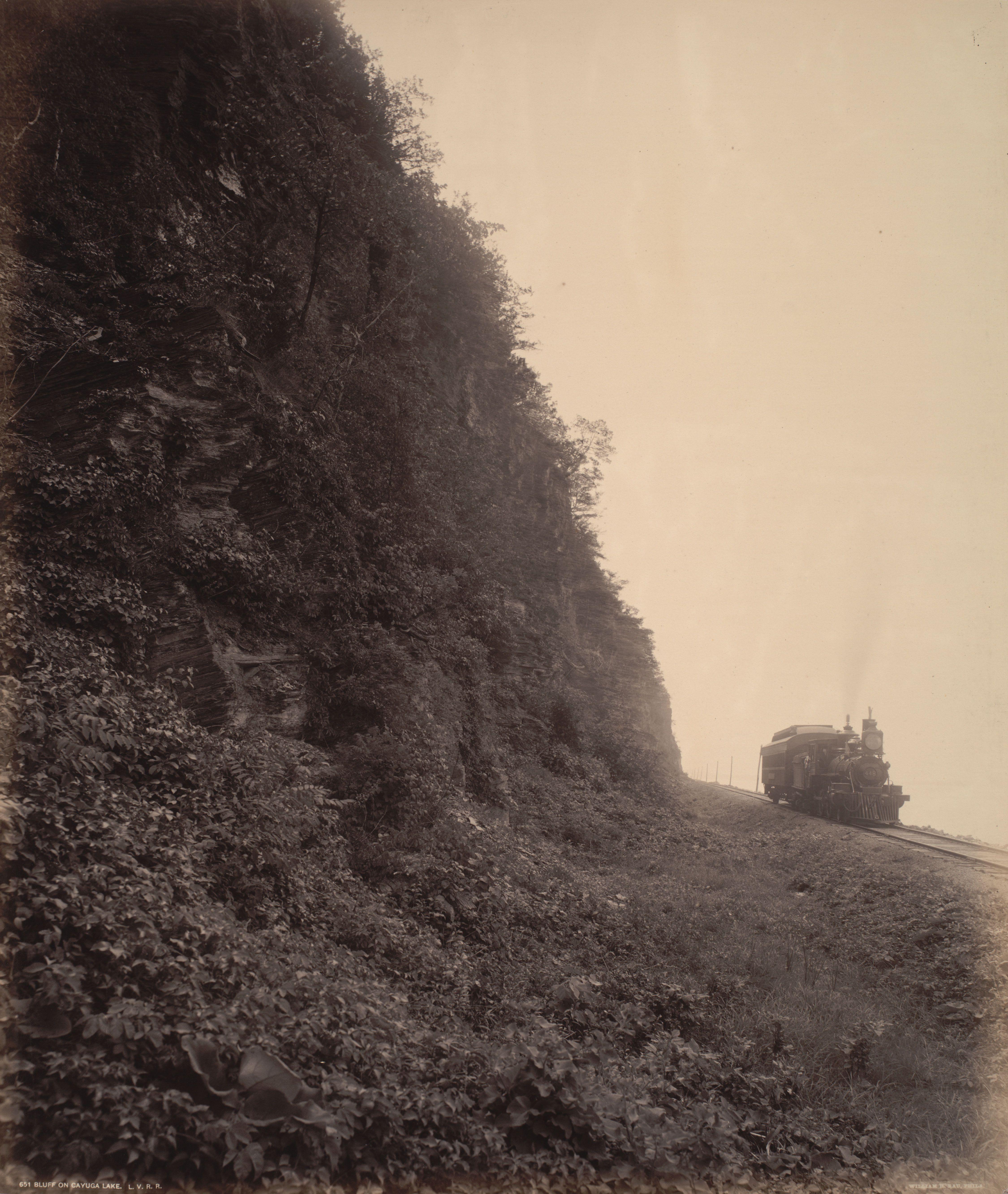 William H Rau
