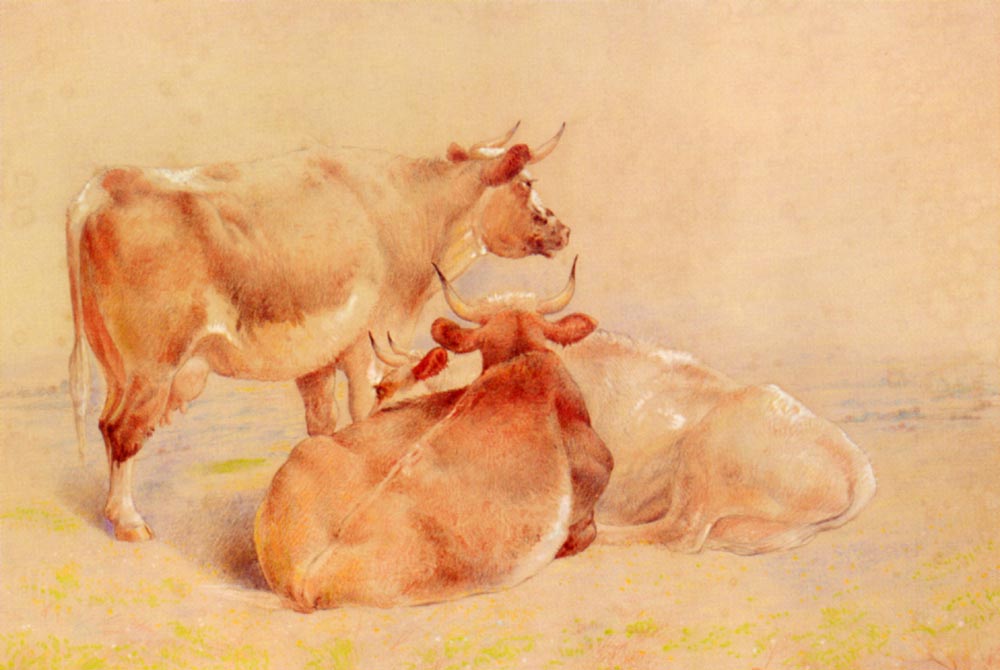 Cattle Descansando 2 Huggins — William Huggins